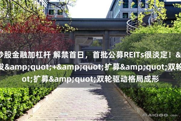 炒股金融加杠杆 解禁首日，首批公募REITs很淡定！&quot;首发&quot;+&quot;扩募&quot;双轮驱动格局成形