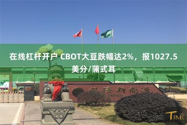 在线杠杆开户 CBOT大豆跌幅达2%，报1027.5美分/蒲式耳