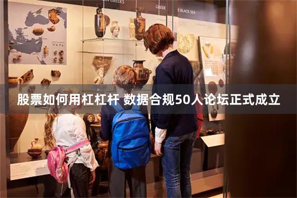 股票如何用杠杠杆 数据合规50人论坛正式成立