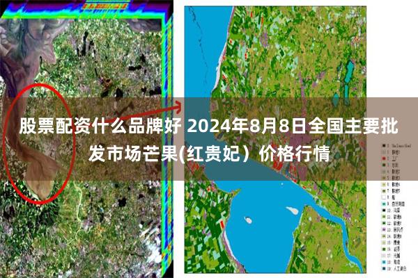股票配资什么品牌好 2024年8月8日全国主要批发市场芒果(红贵妃）价格行情