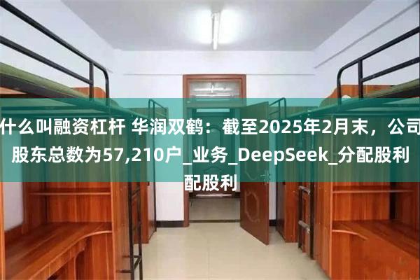 什么叫融资杠杆 华润双鹤：截至2025年2月末，公司股东总数为57,210户_业务_DeepSeek_分配股利
