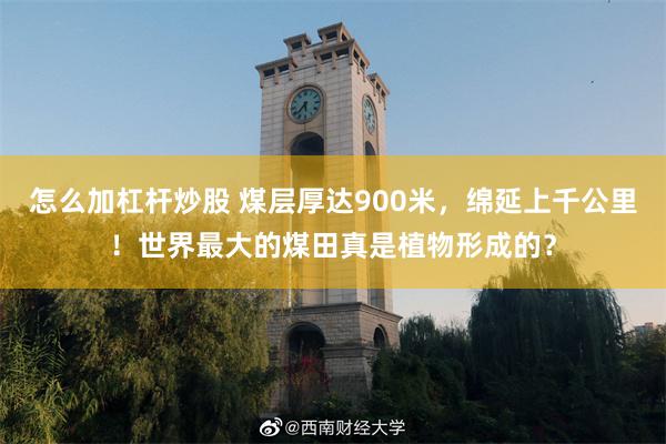怎么加杠杆炒股 煤层厚达900米，绵延上千公里！世界最大的煤田真是植物形成的？