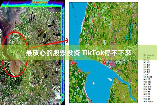 最放心的股票投资 TikTok停不下来