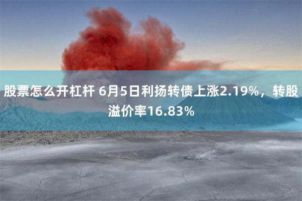 股票怎么开杠杆 6月5日利扬转债上涨2.19%，转股溢价率16.83%