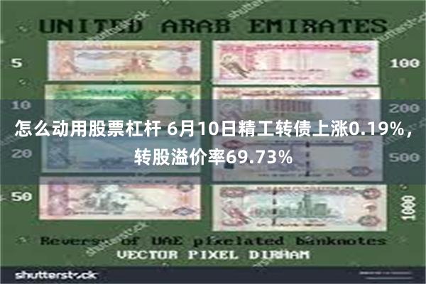怎么动用股票杠杆 6月10日精工转债上涨0.19%，转股溢价率69.73%